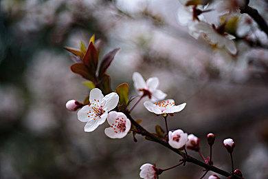 《FIFA 22》成为2021年英国最畅销游戏